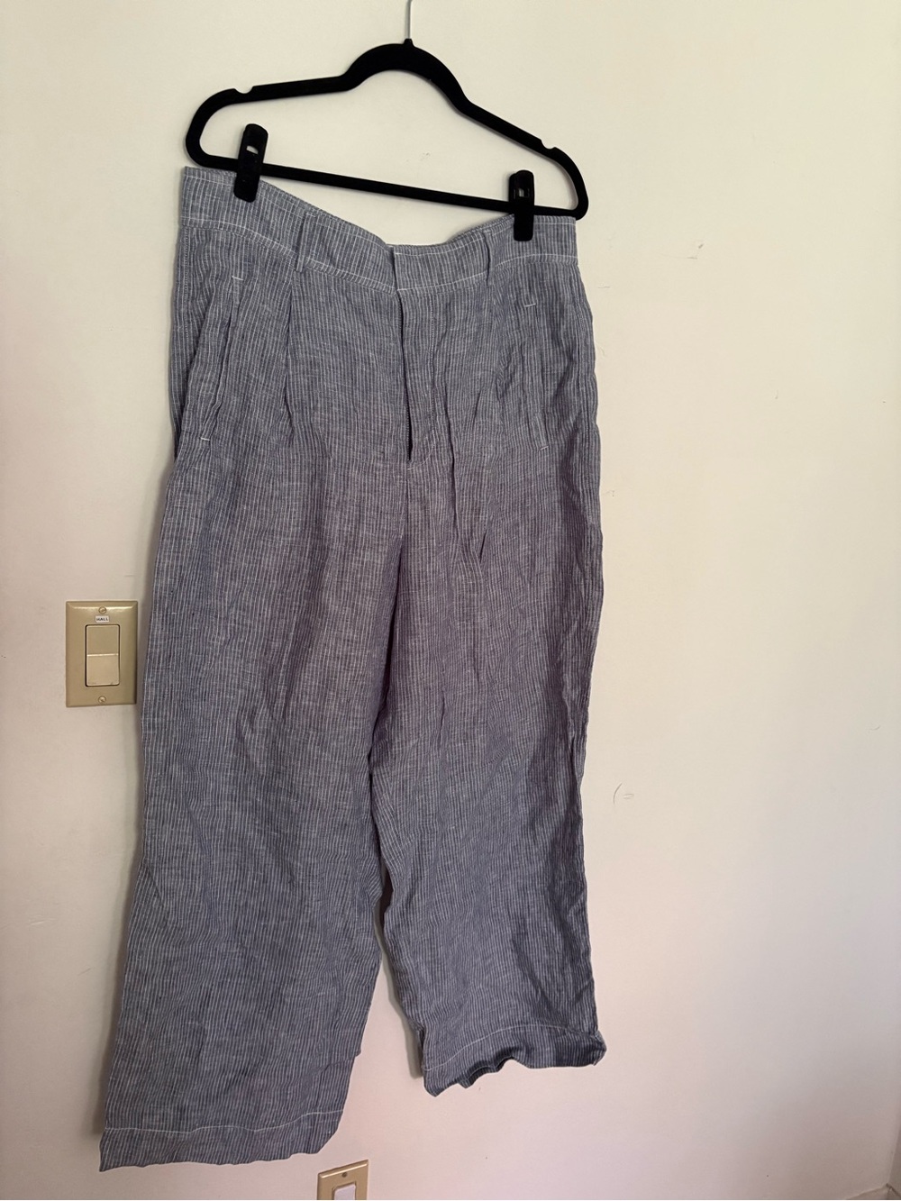Everlane Blue Pinstripe Wide-Leg Linen Pants